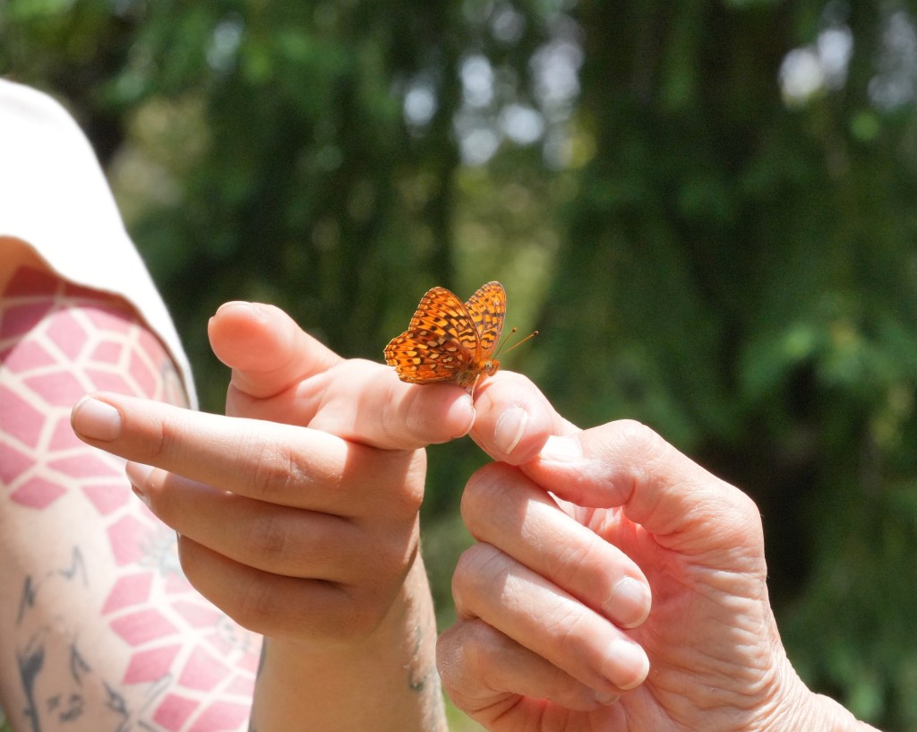 The current image has no alternative text. The file name is: cdp09162.jpg